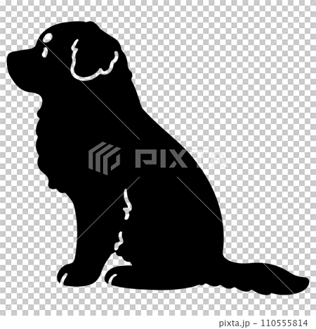 Simple and cute Bernese Mountain Dog silhouette sitting facing side with face Simple and cute Bernese Mountain Dog silhouette sitting facing side with face 110555814