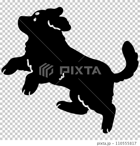 簡單可愛的跳躍伯恩山犬剪影與臉 簡單可愛的跳躍伯恩山犬剪影與臉 110555817