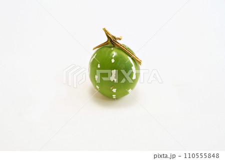 冬の緑色のオキナワスズメウリの実（冬、一月） 110555848