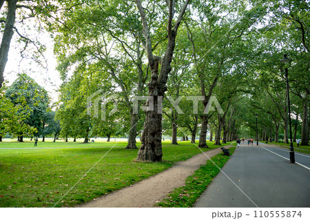 Hyde Park With People Exercising And Playing In The Centre Of The City Of London, United Kingdom 110555874