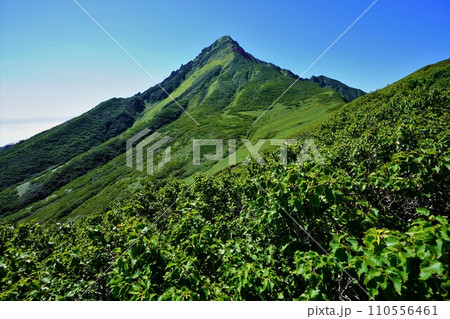 長官山から見る利尻山の頂上 110556461