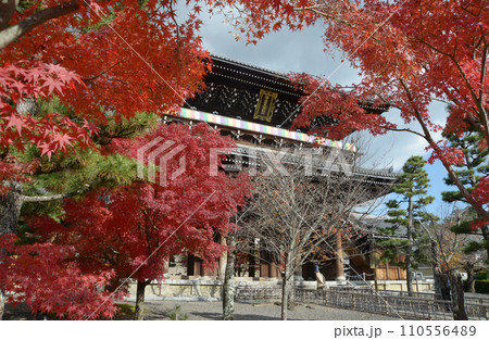 秋の金戒光明寺　山門　京都市左京区黒谷 110556489