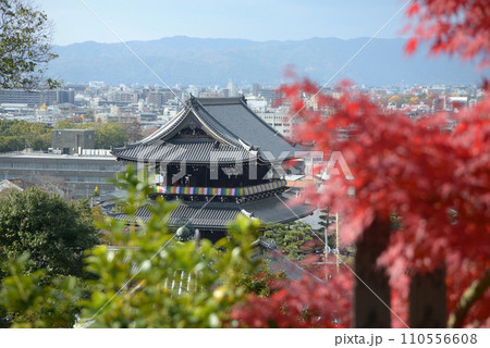 秋の金戒光明寺 山門遠望 京都市左京区黒谷 秋の金戒光明寺 山門遠望 京都市左京区黒谷 110556608