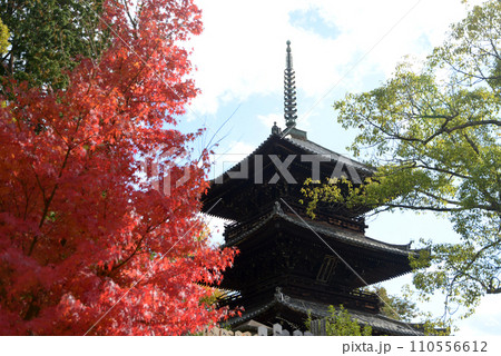 秋の金戒光明寺 三重塔 京都市左京区黒谷 秋の金戒光明寺 三重塔 京都市左京区黒谷 110556612