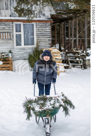 Little boy carries a Christmas tree on a sled to home  110556631