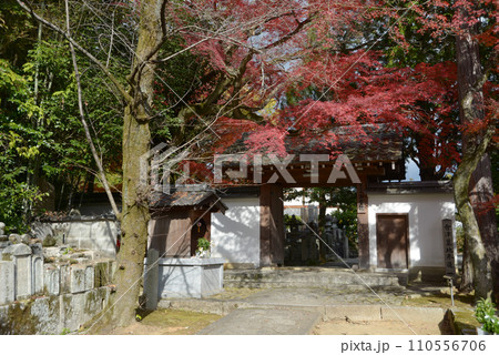 秋の金戒光明寺 西雲院の山門 京都市左京区黒谷 秋の金戒光明寺 西雲院の山門 京都市左京区黒谷 110556706