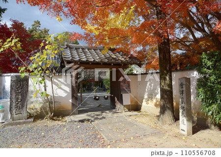 秋の金戒光明寺　西雲院の東門　京都市左京区黒谷 110556708