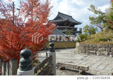秋の金戒光明寺　山門遠望　京都市左京区黒谷 110556856