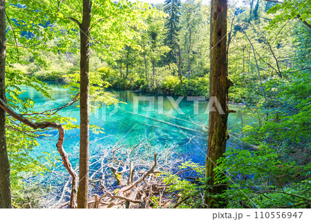 Plitvice Lakes National Park 110556947