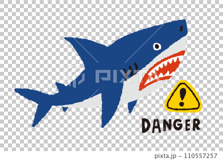 Hand drawn illustration of marine dangerous creature great white shark Hand drawn illustration of marine dangerous creature great white shark 110557257