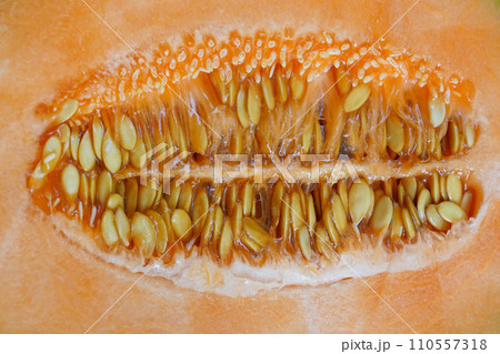 Pumpkin seeds background, cut orange pumpkin 110557318