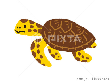 ウミガメの手描きイラスト ウミガメの手描きイラスト 110557324