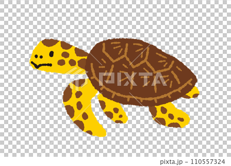 ウミガメの手描きイラスト ウミガメの手描きイラスト 110557324