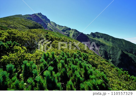 利尻山8合目から見上げる山頂 利尻山8合目から見上げる山頂 110557329