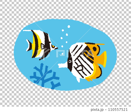 摩爾人與多刺蝴蝶魚的手繪插圖[熱帶魚] 110557521