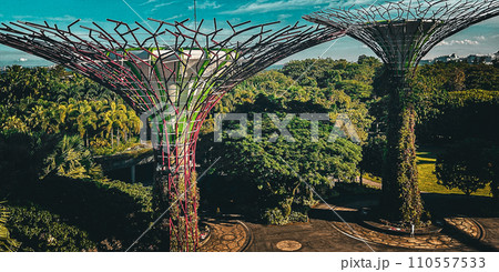 ガーデンズ・バイ・ザ・ベイ。シンガポールの美しい公園。 ガーデンズ・バイ・ザ・ベイ。シンガポールの美しい公園。 110557533