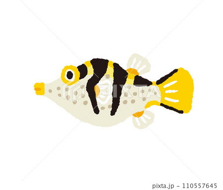 シマキンチャクフグ【熱帯魚】の手描きイラスト シマキンチャクフグ【熱帯魚】の手描きイラスト 110557645