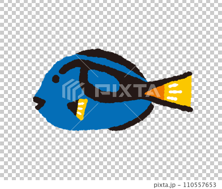 熱帶魚的手繪插圖 熱帶魚的手繪插圖 110557653