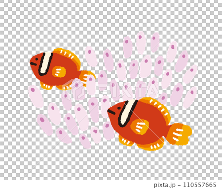 イソギンチャクに隠れるハマクマノミ【熱帯魚】の手描きイラスト 110557665