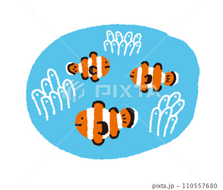 カクレクマノミとイソギンチャク【熱帯魚】の手描きイラスト 110557680