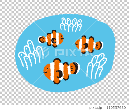 カクレクマノミとイソギンチャク【熱帯魚】の手描きイラスト 110557680