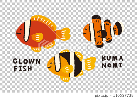 小丑魚家族手繪插畫【類型】 110557739