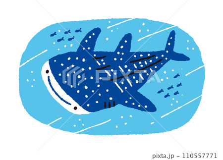 泳ぐジンベエザメと小魚の手描きイラスト 泳ぐジンベエザメと小魚の手描きイラスト 110557771