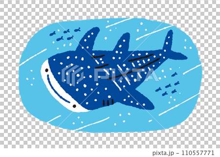 泳ぐジンベエザメと小魚の手描きイラスト 泳ぐジンベエザメと小魚の手描きイラスト 110557771