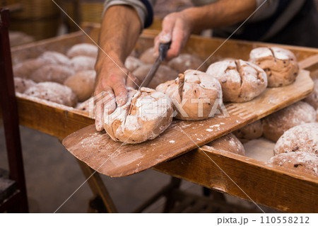 Yeast dough in the form of loaves waiting to be cooked 110558212