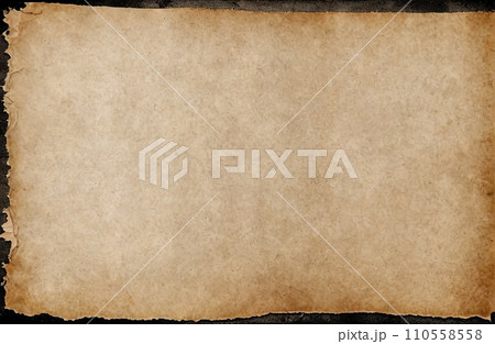 Aged Blank Parchment 110558558