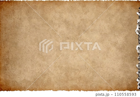 Aged Blank Parchment 110558593