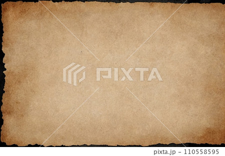 Aged Blank Parchment 110558595
