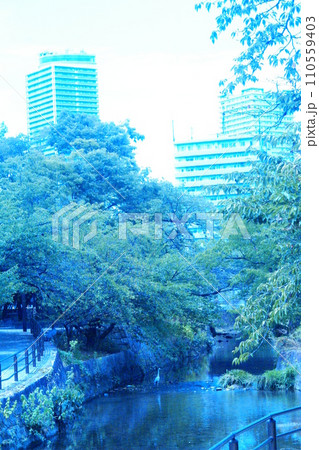 カラー 流れ 川 透明 透過 (2024年1月登録) カラー 流れ 川 透明 透過 (2024年1月登録) 110559403