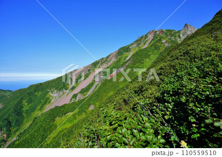 利尻山沓形コースからの山頂 110559510