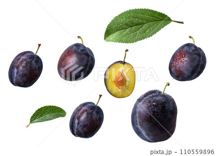 Set of different plum fruits and leaves isolated on white background. Collection of plum fruits for design. 110559896