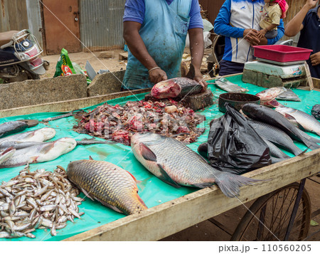 インド_道端の魚屋風景 インド_道端の魚屋風景 110560205
