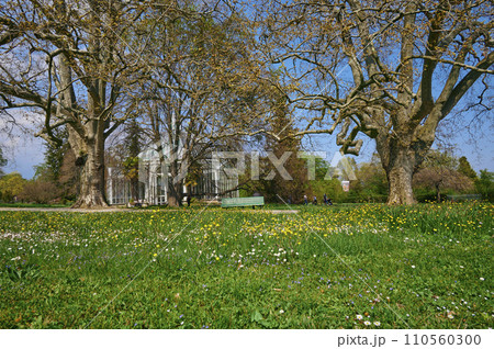 Geneva Botanical Garden, Switzerland. 110560300