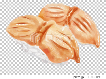 水彩壽司_方舟貝殼01_3 110560930