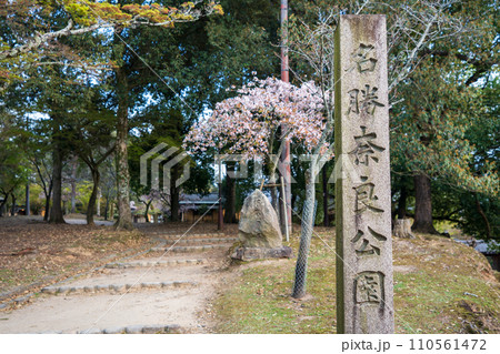 Nara, Japan - April 2, 2023 : Monument at the entrance of Nara Park. Nara, Japan - April 2, 2023 : Monument at the entrance of Nara Park. 110561472