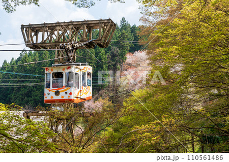 Nara, Japan - April 3, 2023 : Yoshino Ropeway. Cherry blossoms in full bloom at Mount Yoshino, Yoshino-Kumano National Park. Nara, Japan - April 3, 2023 : Yoshino Ropeway. Cherry blossoms in full bloom at Mount Yoshino, Yoshino-Kumano National Park. 110561486
