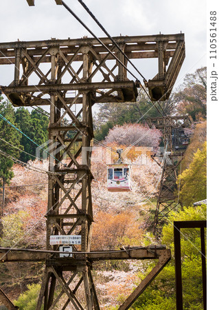 Nara, Japan - April 3, 2023 : Yoshino Ropeway. Cherry blossoms in full bloom at Mount Yoshino, Yoshino-Kumano National Park. Nara, Japan - April 3, 2023 : Yoshino Ropeway. Cherry blossoms in full bloom at Mount Yoshino, Yoshino-Kumano National Park. 110561488
