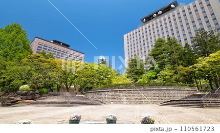 勾当台公園(宮城県仙台市) 勾当台公園(宮城県仙台市) 110561723