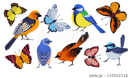 Spring animals. Birds and butterflies. Woodland nature. Wild insects. Flying birdies. Monarch and swallowtail. Lepidoptera bugs. Titmouse or waxwing. Summer colorful creatures vector set Spring animals. Birds and butterflies. Woodland nature. Wild insects. Flying birdies. Monarch and swallowtail. Lepidoptera bugs. Titmouse or waxwing. Summer colorful creatures vector set 110562138