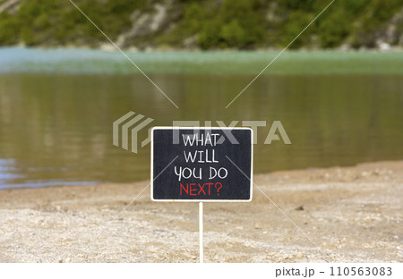 What will you do next symbol. Concept words What will you do next on beautiful blackboard. Beautiful mountain lake background. Business, motivation what will you do next concept. Copy space. 110563083