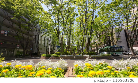 仙台定禅寺通(宮城県仙台市) 仙台定禅寺通(宮城県仙台市) 110563506