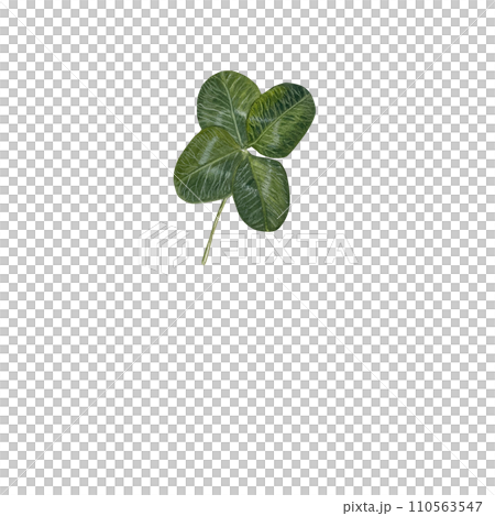 Watercolor clover with four illustratie for postcards, invitation Watercolor clover with four illustratie for postcards, invitation 110563547