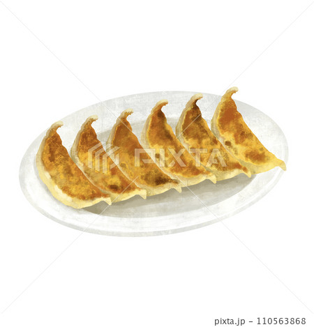 餃子のイラスト　中華料理 110563868