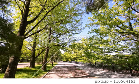 仙台西公園(宮城県仙台市) 仙台西公園(宮城県仙台市) 110564163