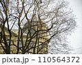 Riga in winter, view of an Art Nouveau building through a pattern of trees against a blue sky. Riga, Latvia. High quality photo 110564372