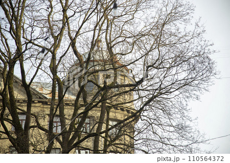 Riga in winter, view of an Art Nouveau building through a pattern of trees against a blue sky. Riga, Latvia. High quality photo Riga in winter, view of an Art Nouveau building through a pattern of trees against a blue sky. Riga, Latvia. High quality photo 110564372